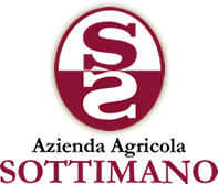 Sottimano